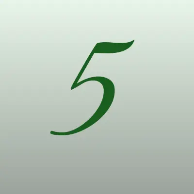 555+, автомойка, лого-визитка
