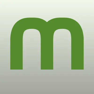 Мечеть, с. Янгельское, лого-визитка